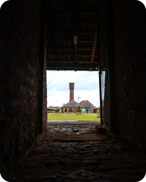 het middag- en avondprogramma