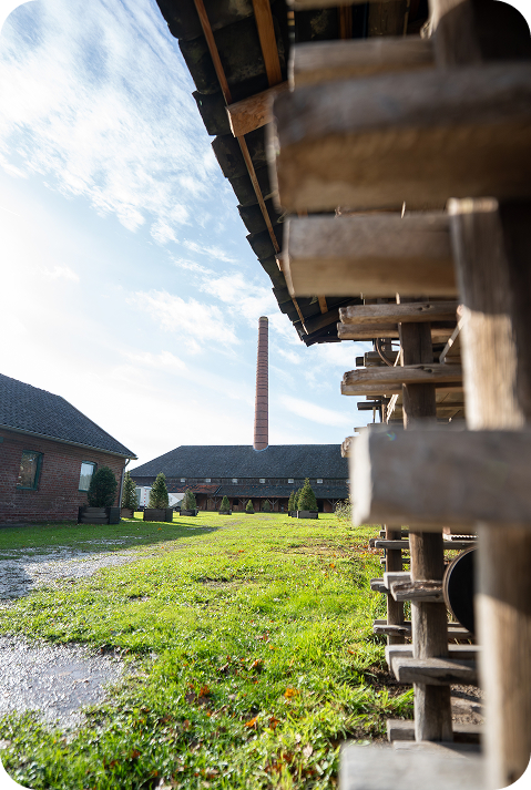 Van Lindenbaum naar Osse